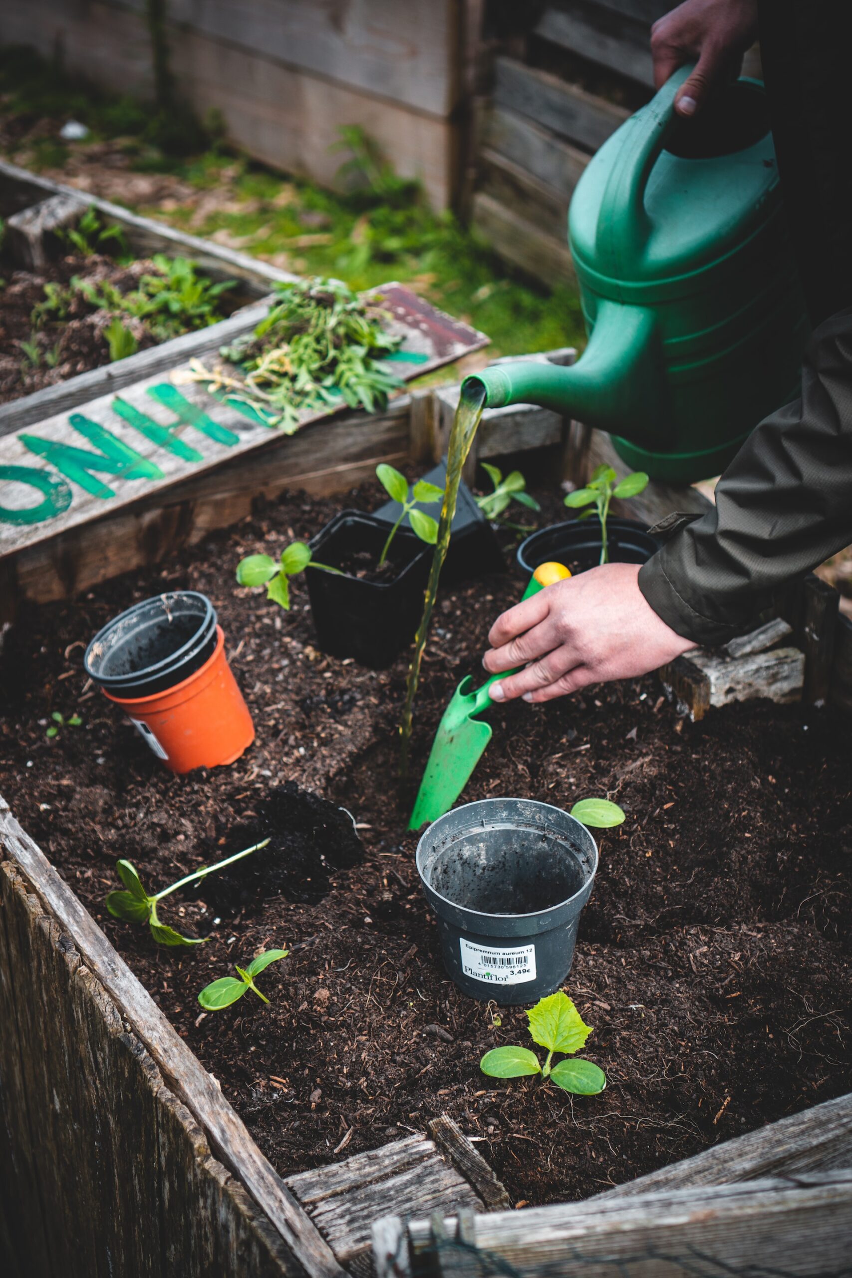 Gardening tools selection